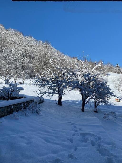 Les Allues Meribel Chalet De Severine מראה חיצוני תמונה